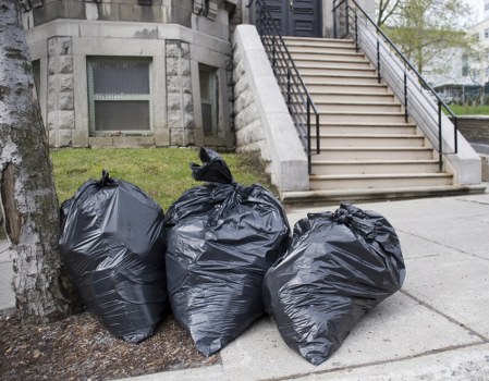 Professional waste removal team handling debris